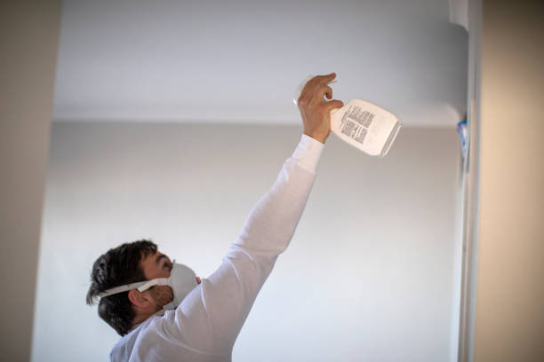 Best Mold Remediation Services  in Avila Beach, CA
