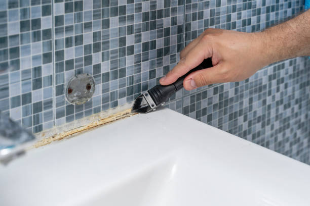 Mold Removal Process in Avila Beach, CA